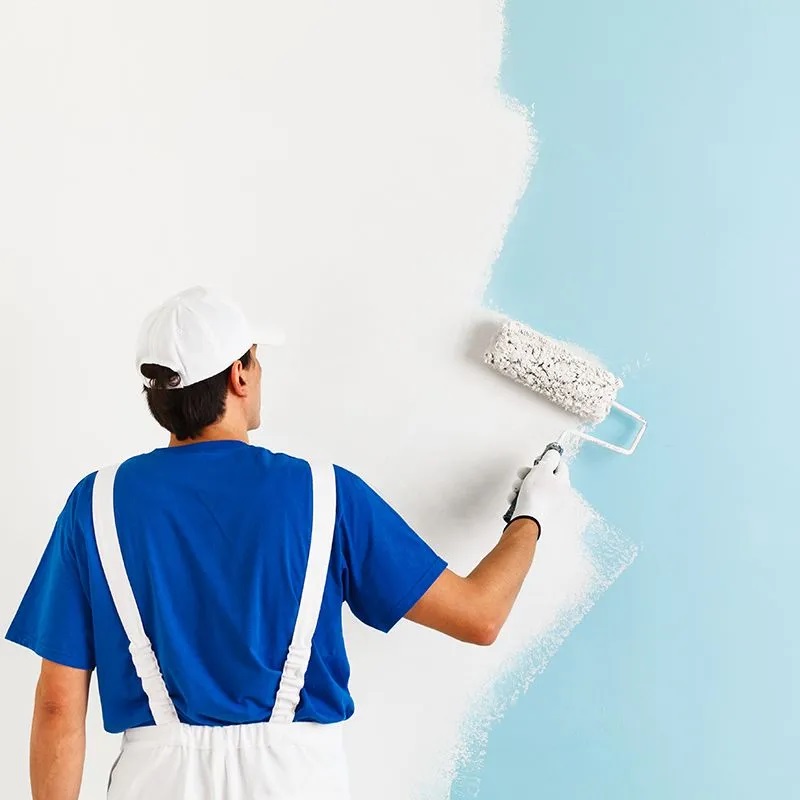 Ildırı iç cephe boyama